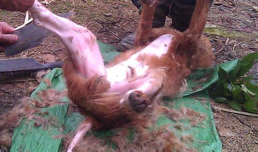 u=1356115659,159471819&amp;fm=27&amp;gp=0