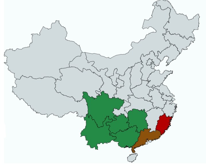 carta pipistrelli serpenti